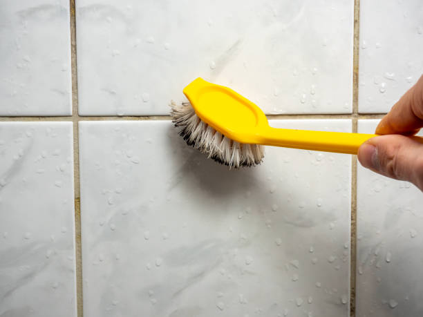 Best Mold Removal Company Near Me  in Palmview, TX