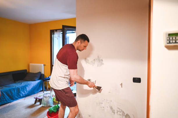 Best Home Mold Removal  in Palmview, TX